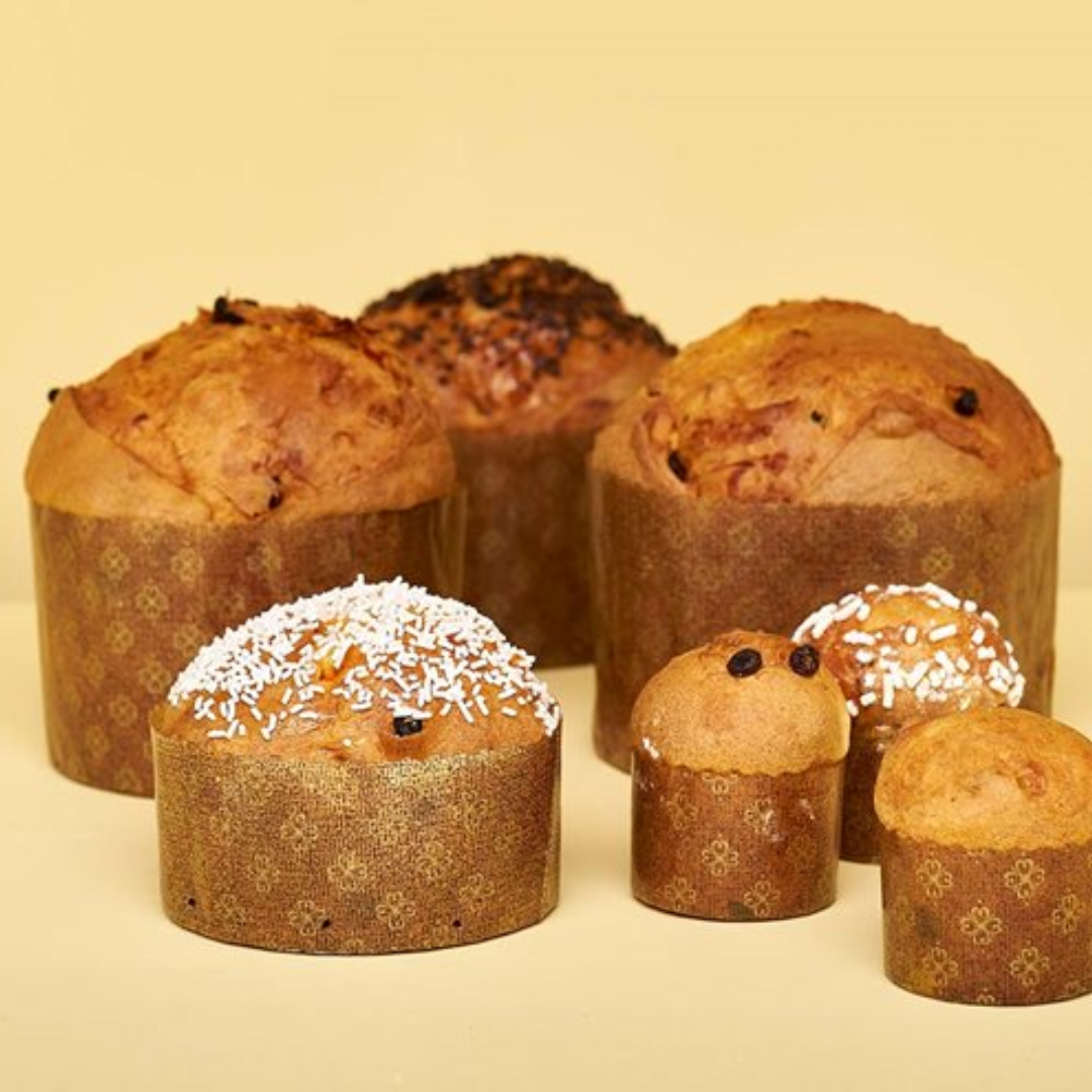 Panettone