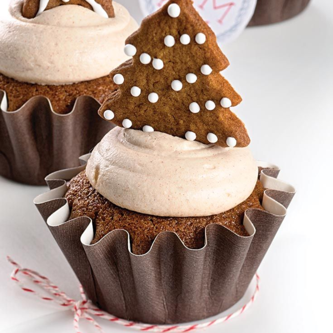 Floret- Shape in Cardboard